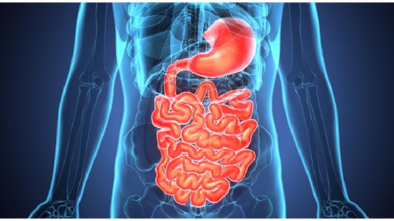 با علائم مشکلات گوارشی آشنا شوید