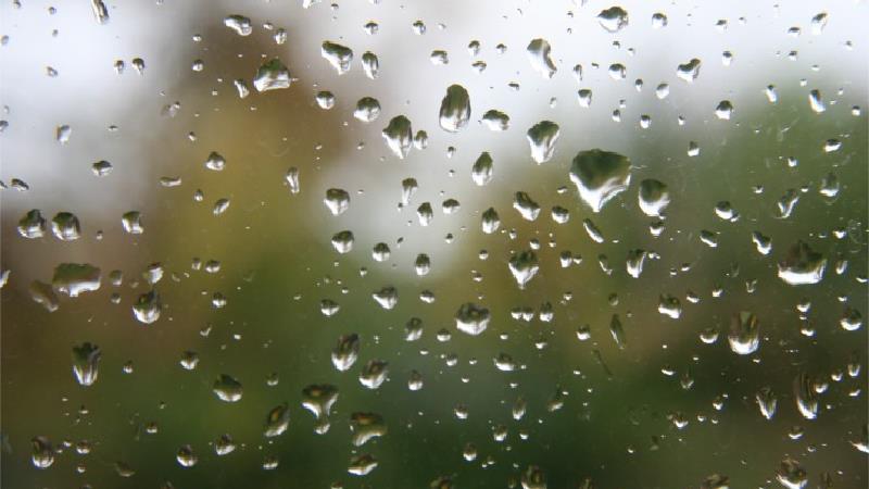 فرار دختر 16 ساله به خاطر عشق خیابانی