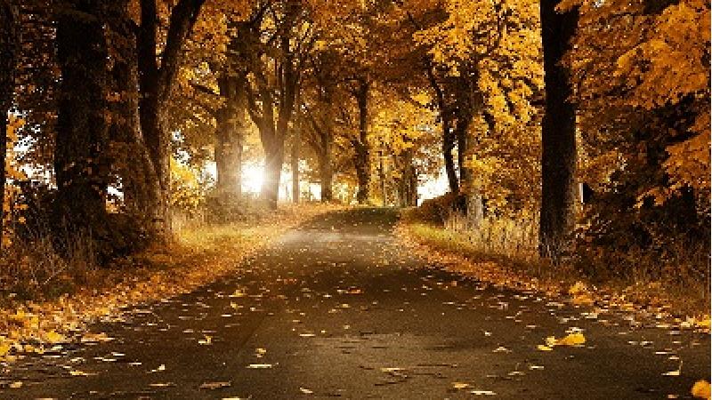 ارتباط پنهانی زندگی 2 خانواده را نابود کرد