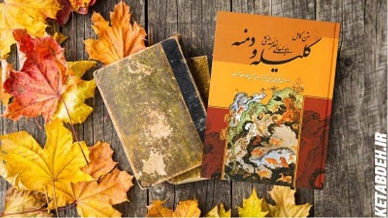 حکایتی خواندنی از کلیله و دمنه؛ قورباغه‌ای که قربانی مکر خودش شد