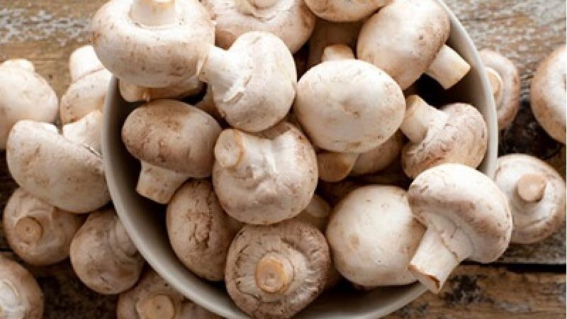 طرز نگهداری قارچ تازه چگونه است