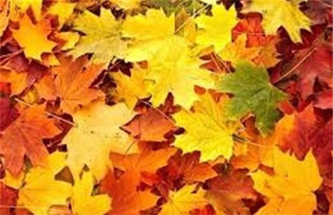 آزار و اذیت دختر نوجوان بعد از مهمانی شبانه