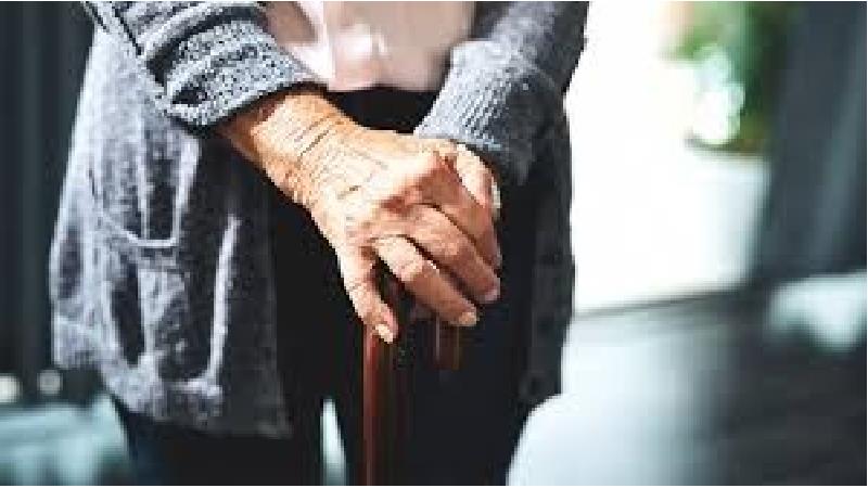 چگونه با تغذیه از پوکی استخوان پیشگیری کنیم؛ توصیه های طب سنتی