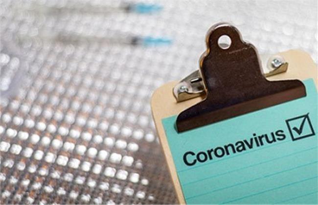 آیا سیر، زنجبیل و فلفل برای کرونا خوب است