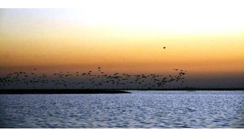 خور موسی؛ چگونه برویم و چه دیدنی هایی دارد