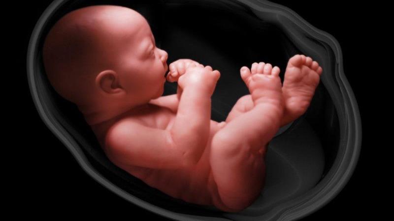 آیا کرونا برای جنین خطر دارد