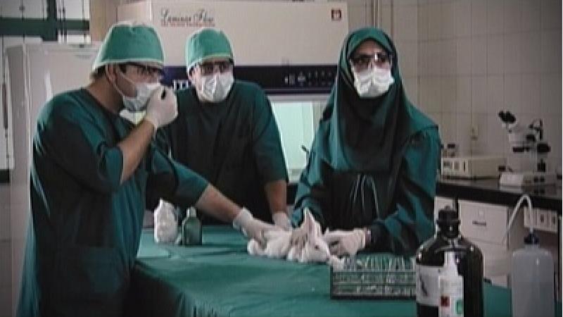 ساعت پخش و تکرار سریال فاکتور 8 از شبکه آی فیلم + خلاصه داستان و نقد