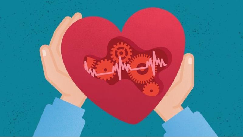 چه خوراکی هایی برای قلب خوب و مفید است