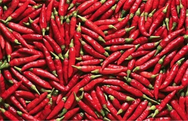 فلفل قرمز برای چی خوب است؛ از سرماخوردگی تا لاغری