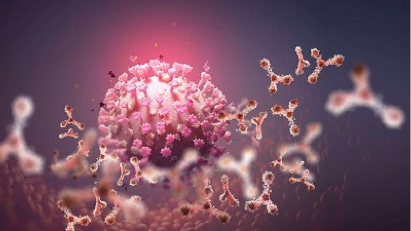 کرونای انگلیسی چه تفاوتی با کرونای چینی دارد