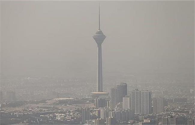 خوراکی مناسب ضد آلودگی هوا چیست