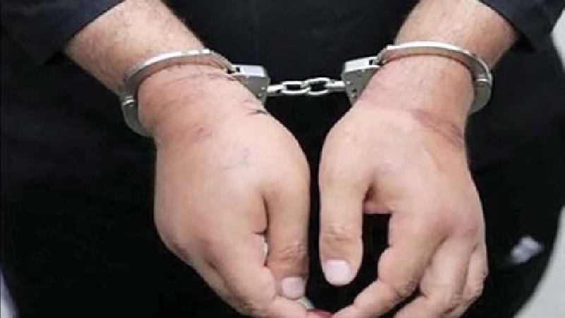 زورگیری های هولناک زنبور سیاه