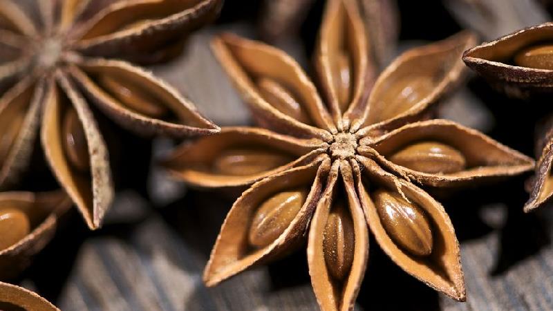 خاصیت های بادیان ختایی یا انیسون ستاره ‌ای چیست؛ از پوست تا زخم معده