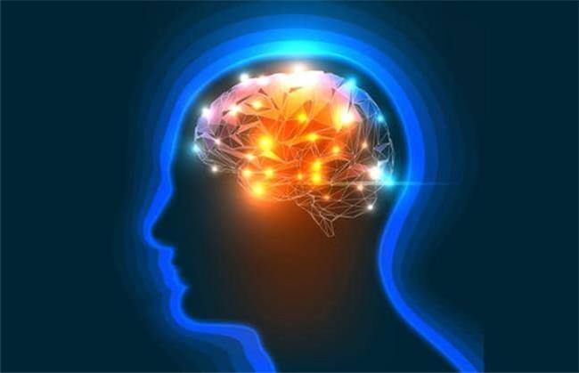 برای تقویت حافظه چی بخوریم؛ توصیه های طب سنتی