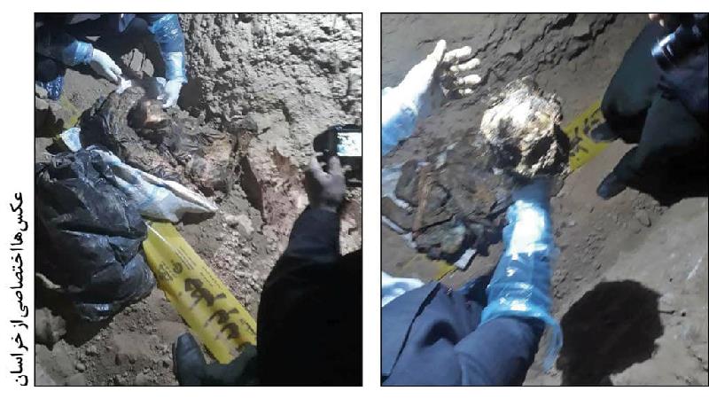 افشای راز هولناک قتل در گلخانه