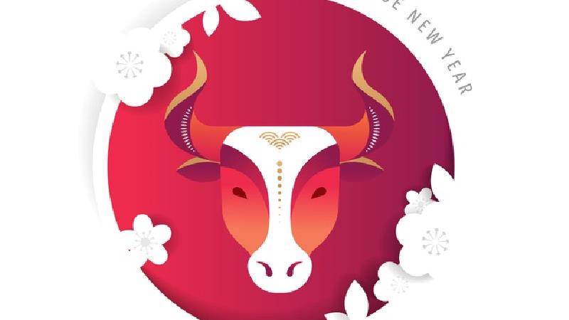 سال گاو چگونه سالی است و چه ویژگی هایی دارد