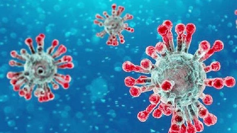 علائم و ویژگی های کرونای انگلیسی چیست