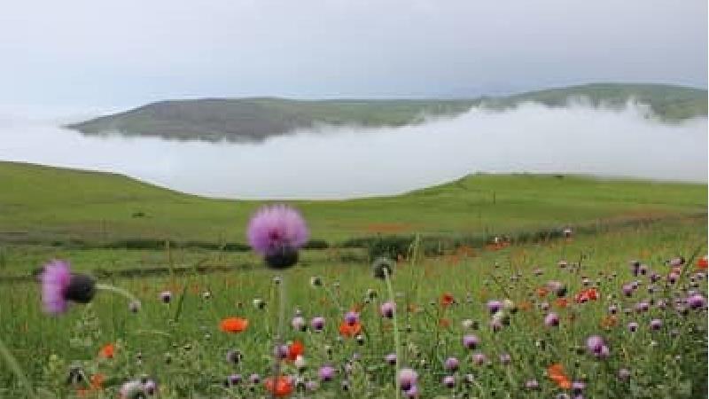 جاهای دیدنی و تفریحی تالش کجا است + آدرس