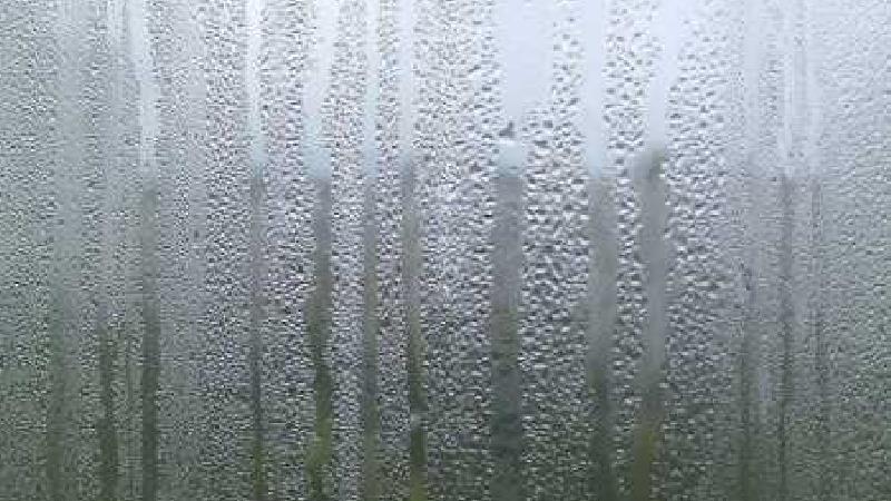 ماجرای وکیلی که زباله گرد شد