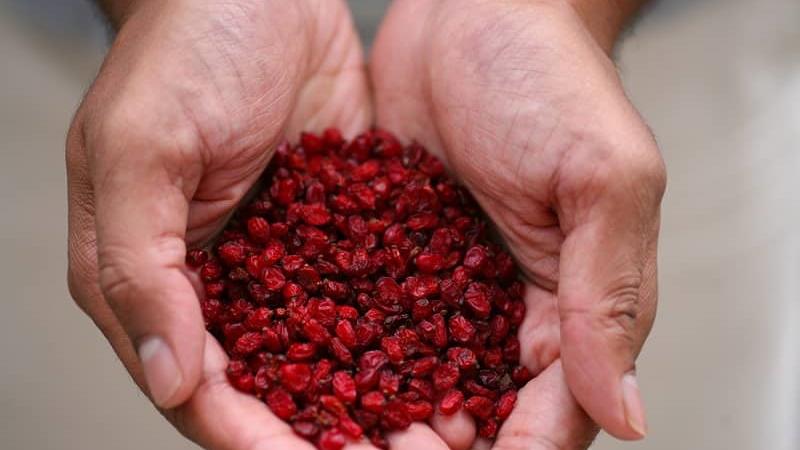 ترفندهایی برای تفت دادن زرشک