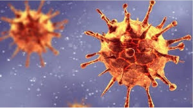 همه آنچه درباره ویروس کرونای انگلیسی باید بدانید