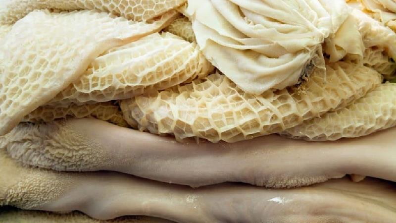 خواص سیرابی و شیردان چیست؛ از معده و کم خونی تا پوست و مو