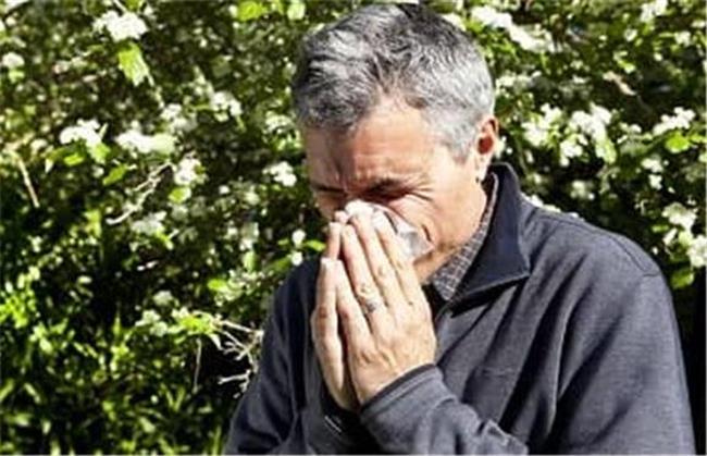 برای خوب شدن حساسیت بهاره چی بخوریم