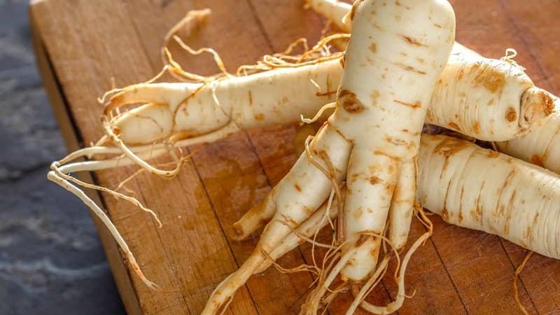 جینسینگ برای چی خوب است؛ از لاغری تا رشد و تقویت مو و پوست