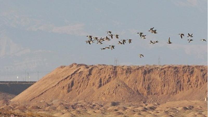 دشت مسیله و بند علیخان کجا است و چگونه باید برویم