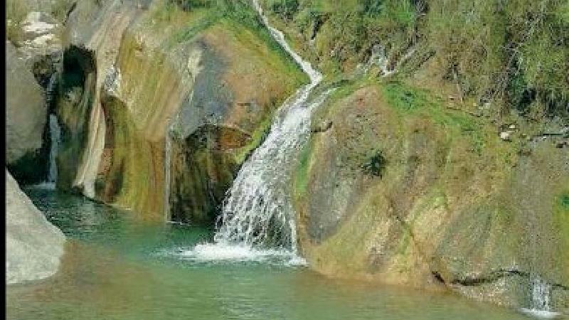 عکس سلفی جان دختر 16 ساله را گرفت