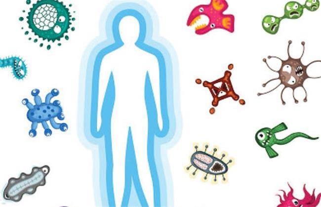 روش تقویت سیستم ایمنی بدن در ماه رمضان