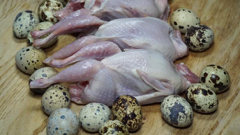 گوشت و تخم بلدرچین چه خاصیت ها و ضررهایی دارد