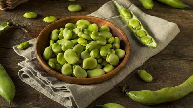 روش نگهداری باقلا سبز در فریزر + نحوه خشک کردن