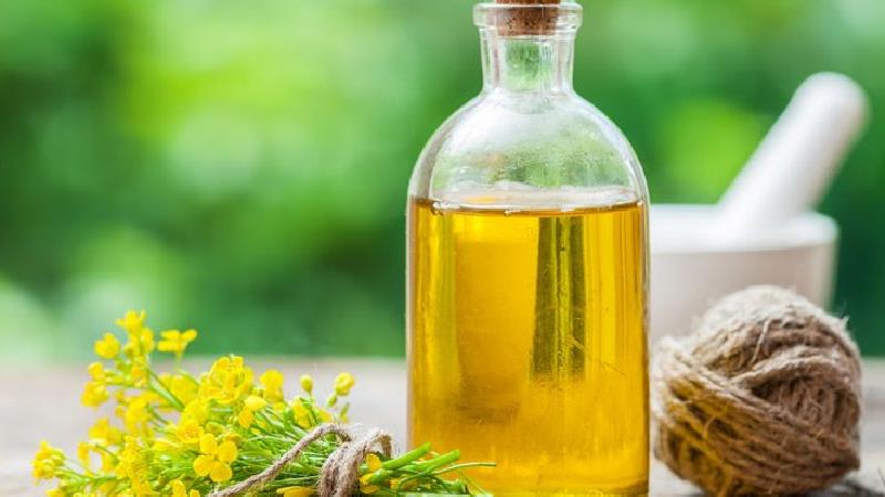 خاصیت های روغن شترمرغ؛ از زیبایی و پوست تا خواص درمانی