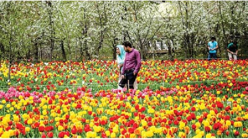 برای احساس خوشبختی در زندگی ‌مشترک چه کنم