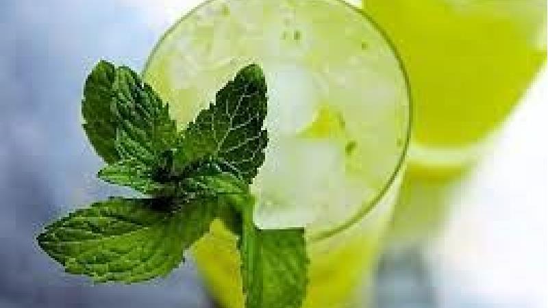 طرز تهیه موهیتو طالبی؛ نوشیدنی خنک برای پذیرایی از مهمانان
