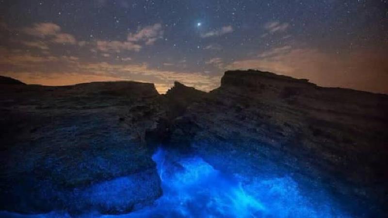 جزیره لارک کجا است و چه دیدنی هایی دارد