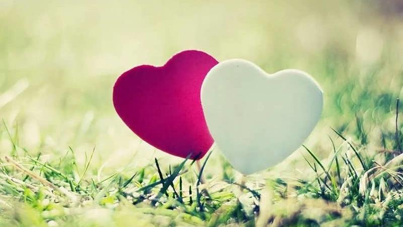 بهترین روش ها برای ابراز علاقه و عشق به همسر