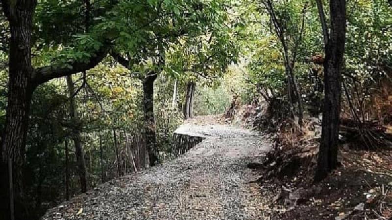 گردش یک روزه اطراف تهران کجا برویم