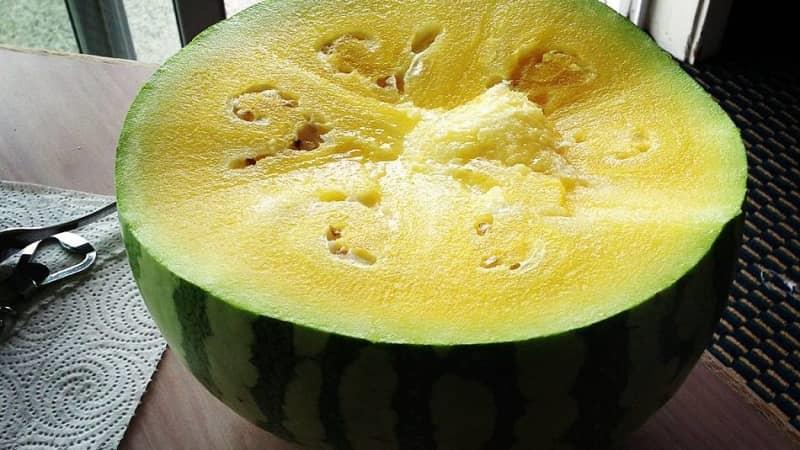 فواید هندوانه زرد چیست؛ از لاغری و پوست تا قلب و کلیه