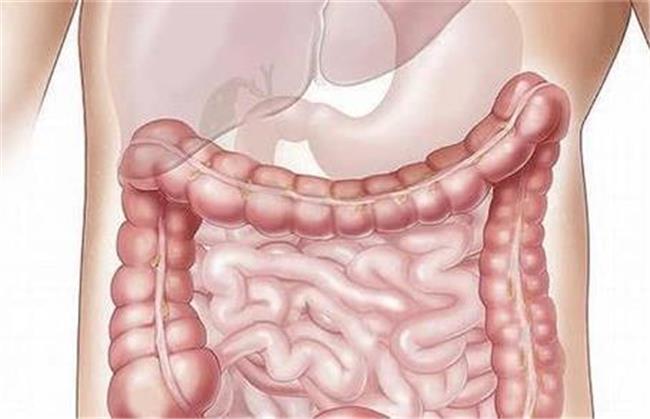 روش پاکسازی روده بزرگ با میوه و خوراکی های مفید