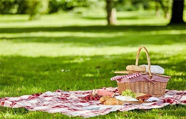 پیشنهادهایی برای پیک نیک و گردش یک روزه در اطراف تهران؛ از کردان تا دشت هویج