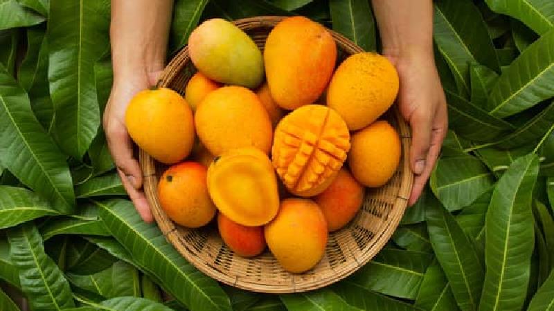 هسته انبه را چگونه بخوریم و برای چی خوب است