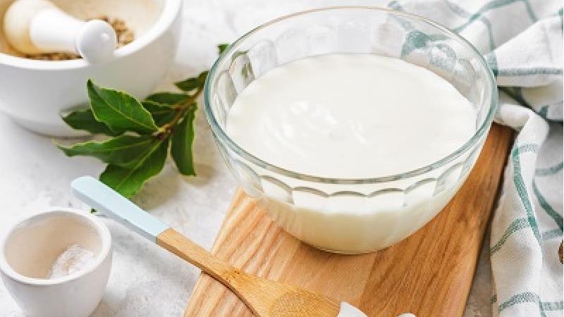 طرز تهیه سس بشامل خانگی با خامه