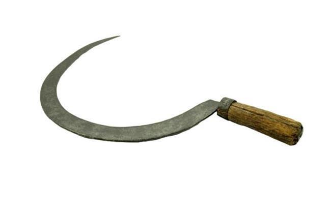 قتل مرد 90 ساله با داس