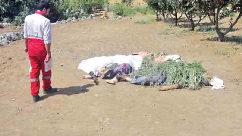 خودکشی بعد از قتل عام خانواده همسر