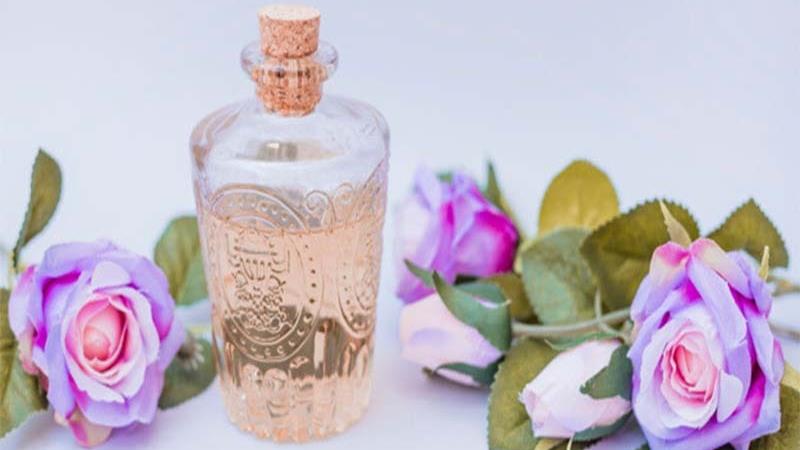 عرق نسترن برای چی خوب است؛ از سنگ کلیه تا بی خوابی