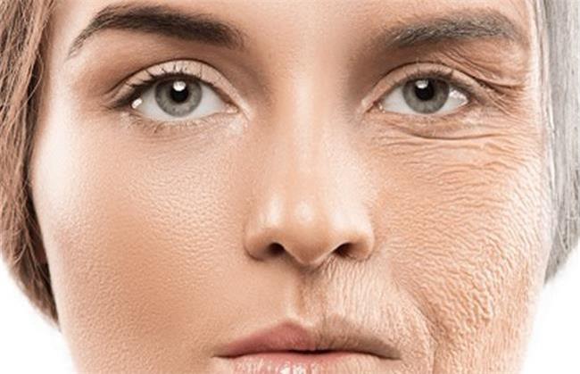 برای کلاژن سازی پوست چی بخوریم