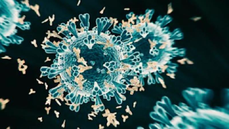 آیا سویه‌ لامبدا به واکسن مقاوم است؟