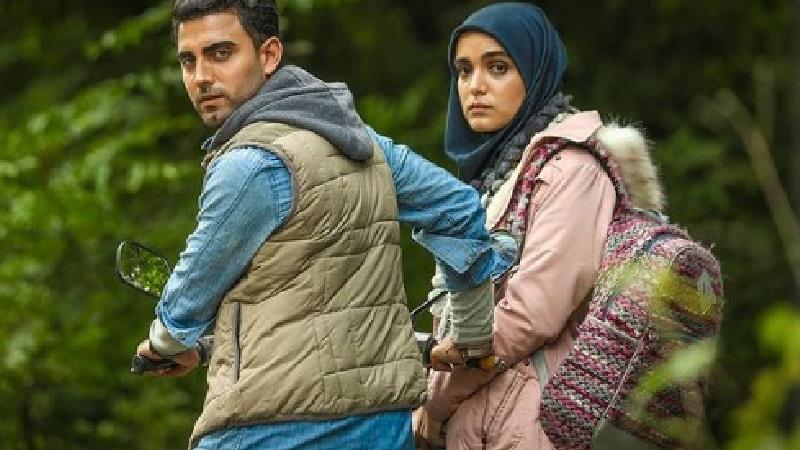 آیا پیمان و مائده در سریال افرا ازدواج می کنند